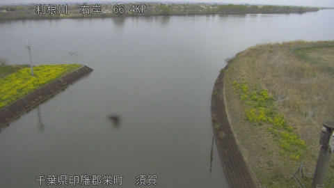 tonsu2026032312_image