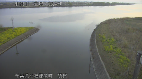 tonsu2026032406_image