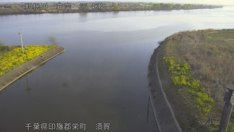 tonsu2026032407_image