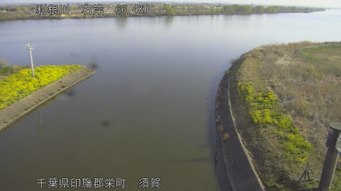 tonsu2026032408_image