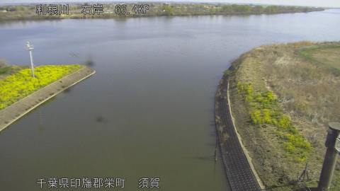 tonsu2026032409_image