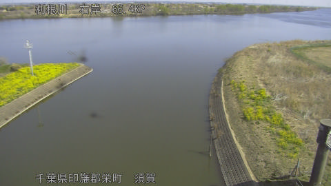 tonsu2026032410_image