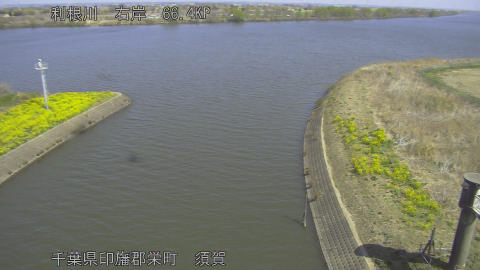 tonsu2026032411_image