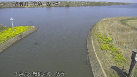 tonsu2026032412_image