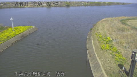 tonsu2026032413_image