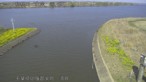 tonsu2026032414_image