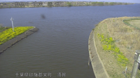 tonsu2026032415_image