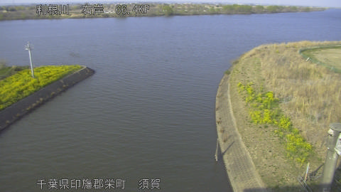 tonsu2026032416_image