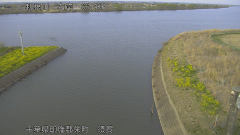 tonsu2026032417_image