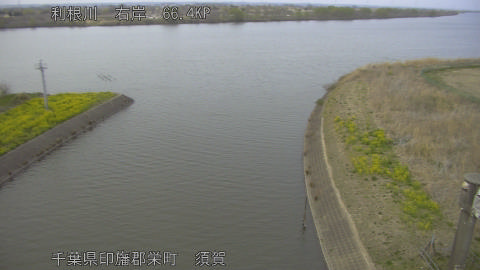 tonsu2026032418_image