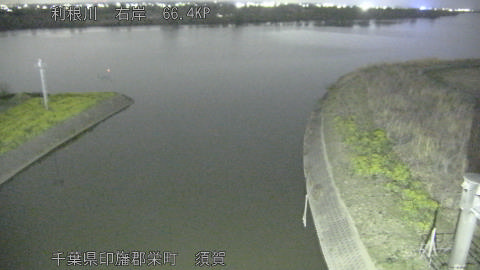 tonsu2026032421_image