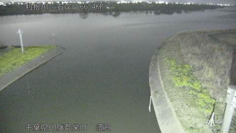 tonsu2026032500_image