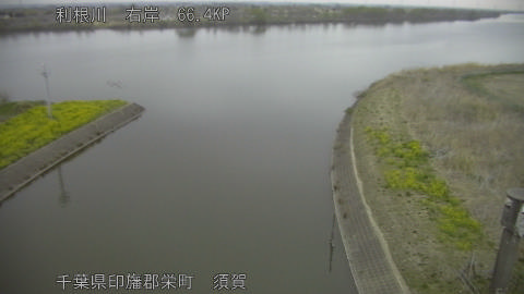 tonsu2026032506_image