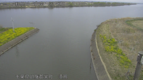 tonsu2026032507_image