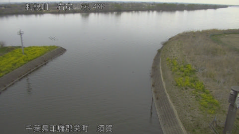 tonsu2026032508_image