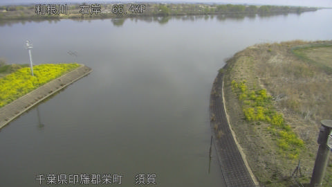 tonsu2026032509_image