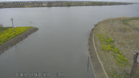 tonsu2026032510_image