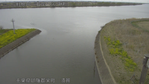 tonsu2026032511_image