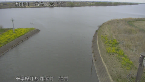 tonsu2026032512_image