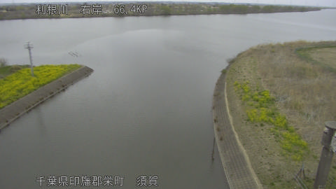 tonsu2026032513_image