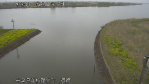 tonsu2026032514_image