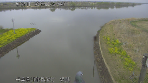 tonsu2026032515_image