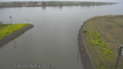 tonsu2026032516_image