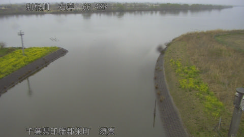 tonsu2026032517_image