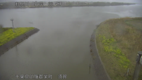 tonsu2026032518_image