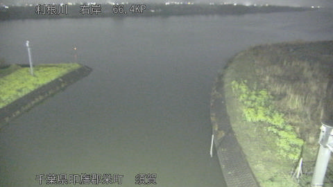 tonsu2026032522_image