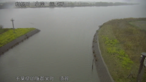 tonsu2026032606_image