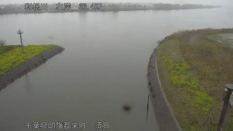 tonsu2026032608_image