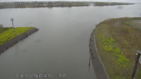 tonsu2026032610_image