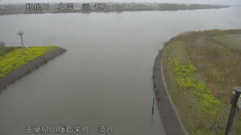 tonsu2026032611_image