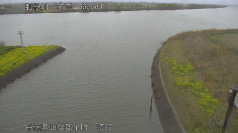 tonsu2026032613_image