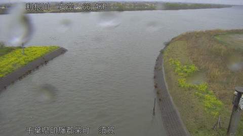 tonsu2026032614_image