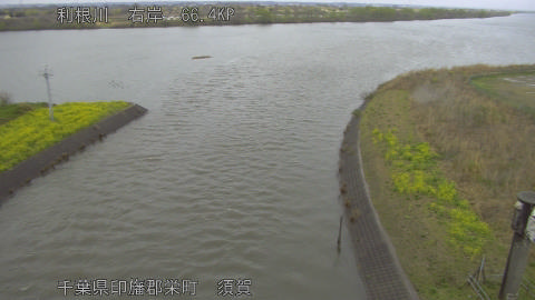 tonsu2026032615_image