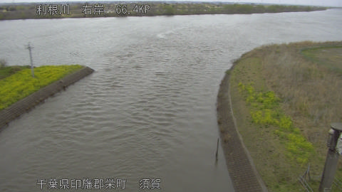 tonsu2026032616_image