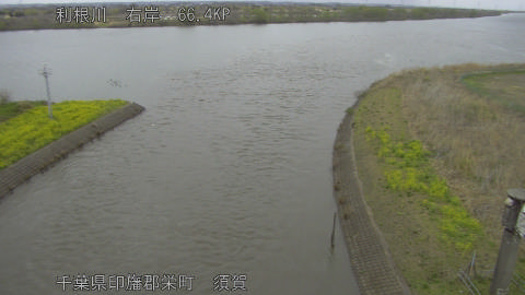 tonsu2026032617_image