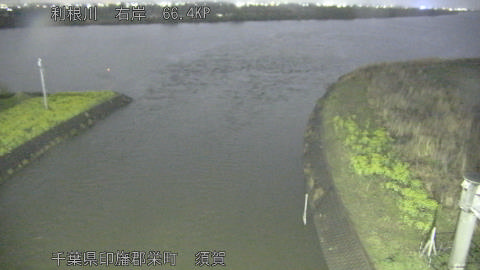 tonsu2026032619_image