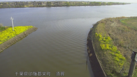 tonsu2026032708_image