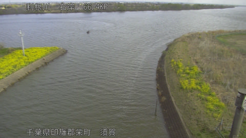 tonsu2026032709_image