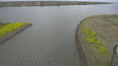 tonsu2026032710_image