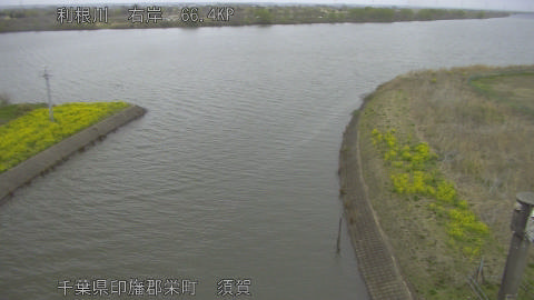 tonsu2026032711_image