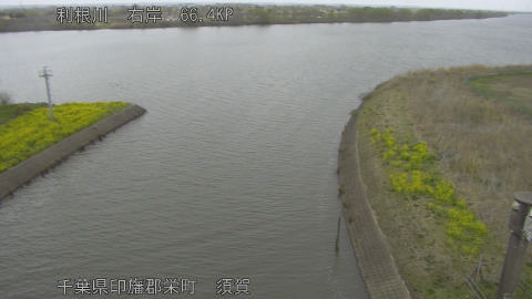 tonsu2026032712_image