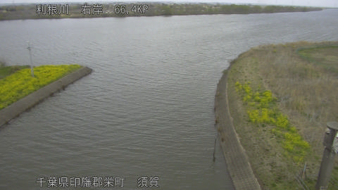 tonsu2026032713_image