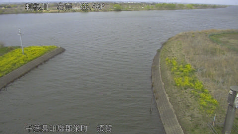 tonsu2026032714_image