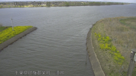 tonsu2026032715_image