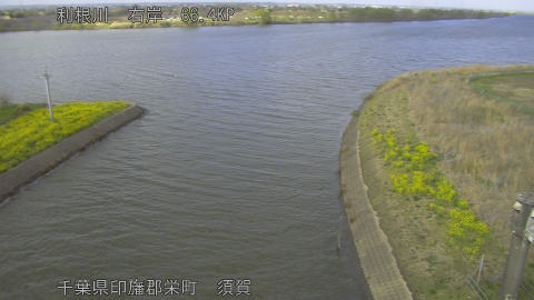 tonsu2026032716_image