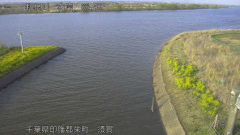 tonsu2026032717_image